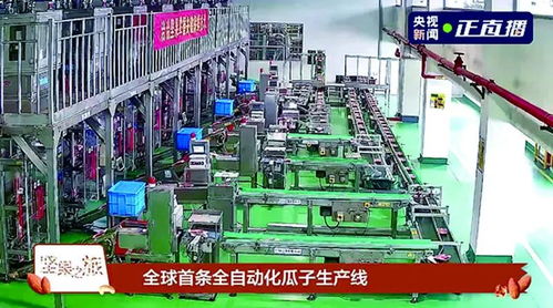 洽洽食品荣膺新华社民族品牌工程，引领民族品牌新篇章